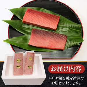 天然本マグロ 天然南マグロ 中トロ各1柵 (計400g) 食べ比べまぐろ 鮪 海鮮 冷凍 さしみ 刺身 父の日 高知 室戸 マグロ