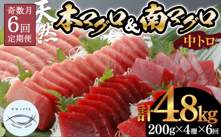 【６回定期便】天然本マグロ　天然南マグロ　中トロ　各２柵　奇数月にお届け _eb003