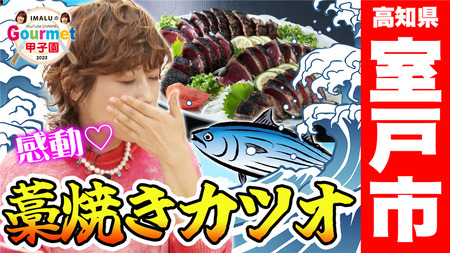 【6回定期便】かつおのたたき 1節 かつおのたたき kr016