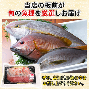 【3回定期便】ほんとにおいしい!室戸のお刺身 2~3種盛り合わせお楽しみセット(2~3人前)_冷凍 調理済み 時短 湯せん お弁当 個包装 惣菜 小分け 子供 簡単調理 お取り寄せ 人気 湯煎 お湯ぽちゃ レトルト 温めるだけ 頒布会 鰹 マグロ 金目鯛 カンパチ ブリ