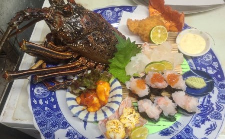 活伊勢海老 約3kg(5～15尾)【 イセエビ 伊勢海老 】