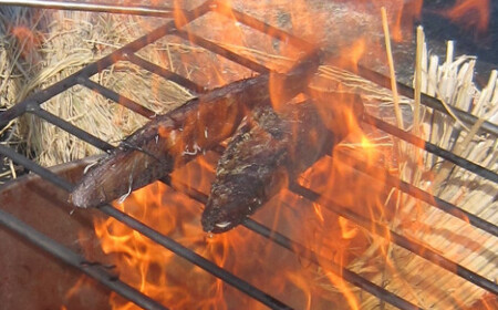 室戸流藁焼きかつおたたきセット　１４００～１７００ｇ _iz043