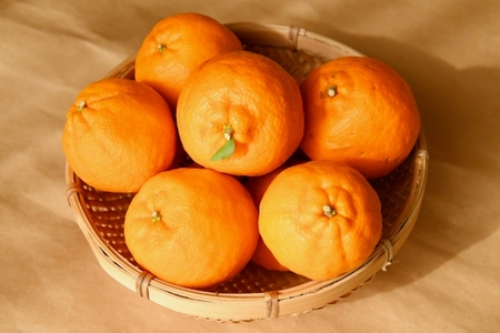 【マルカズ農園ポンカン】冬の柑橘ポンカン 4kg