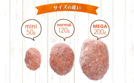 ハンバーガー屋の本気メガハンバーグ2ｋｇ（200ｇ×10個） ＜ 国産 高知県産 牛肉 豚肉 ブランド肉 希少 土佐あかうし 四万十ポーク ＞ _sd028