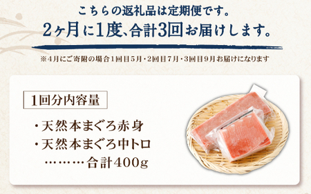 まぐろの王様！ 天然本まぐろ 定期便 【全３回】合計１.２kg《 味わいセット 隔月 》 中トロ 天身 刺身 赤身 柵 小分け まぐろ マグロ 本マグロ 刺身 海鮮