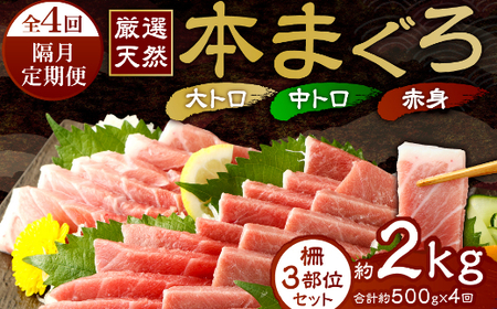 まぐろの王様！ 天然本まぐろ 定期便 【全４回】合計２kg《 味わいセット 隔月 》大トロ 中トロ 赤身 刺身 柵 小分け まぐろ マグロ 本マグロ 刺身 海鮮