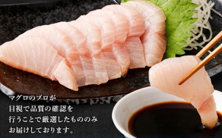 厳選 トロビンチョウ 鮪 ５００ｇ 以上 ビンチョウマグロ 天然 鮪 冷凍 海鮮 丼 _ge014