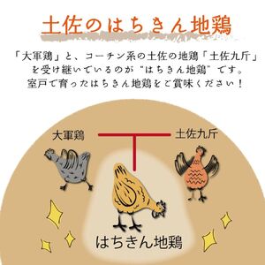 土佐の地鶏『はちきん地鶏』むね肉２ｋｇ バーベキュー BBQ キャンプ キャンプ飯 焼肉 焼き肉 低カロリー 高タンパク 高たんぱく