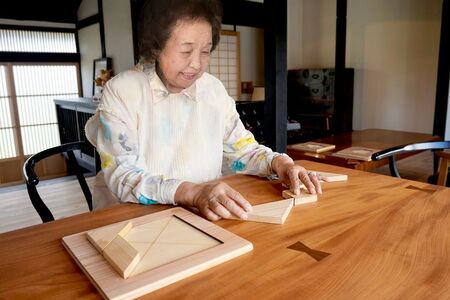 おもちゃ ヒノキのタングラム +パズル土台全種セット｜木のおもちゃ
