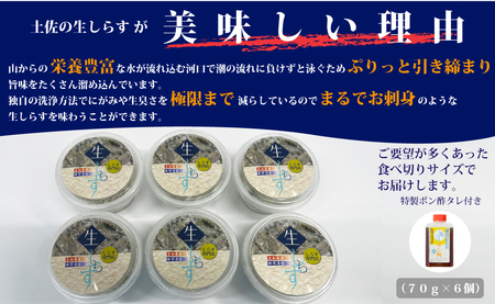 土佐のお刺身「生しらす」6個セット ≪しらす出汁を使った特製のポン酢タレ付き≫