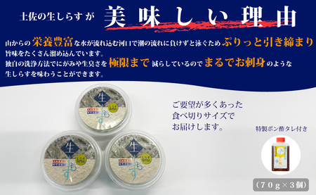 土佐のお刺身「生しらす」3個セット ≪しらす出汁を使った特製のポン酢タレ付き≫