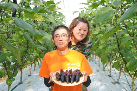 ≪朝採れ新鮮！まっことうまいぜよ≫高知県安芸市産ナス　2㎏