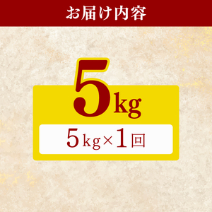 【ふるなびWEEK対象】【新米】 令和7年産 コシヒカリ 5kg 新米 高知県 安芸市 FN-Limited-PR