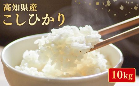 米 令和7年産 米 コシヒカリ 10kg