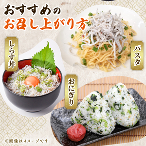 釜揚げしらす400g【しらす】