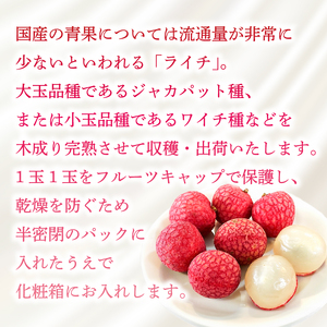 【令和8年6月上旬頃より発送】ライチ 先行予約 お試しパック 生ライチ 国産 BK