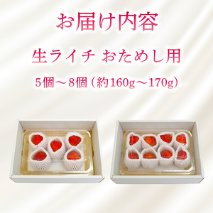 【令和8年6月上旬頃より発送】ライチ 先行予約 お試しパック 生ライチ 国産 BK