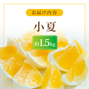 【2026年出荷分】小夏 (日向夏) 小夏 1.5kg | 期間 数量 限定 旬 人気 果物 くだもの 柑橘 フルーツ みかん ジュース 高知県 安芸市 BK