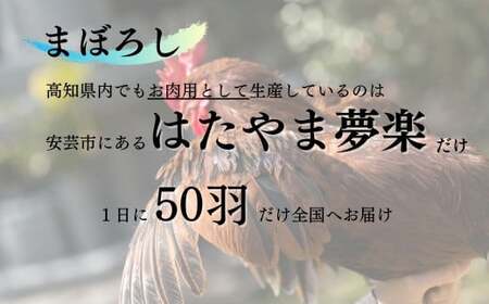 「土佐ジロー」地鶏 カット肉 1袋 200g 地鶏 成熟 歯ごたえ やみつき 冷凍 BN
