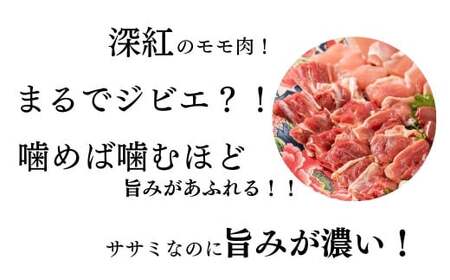 「土佐ジロー」地鶏 カット肉 3袋 計600g 地鶏 成熟 歯ごたえ やみつき 冷凍 BN
