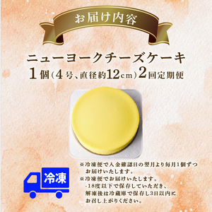 2回 定期便 ニューヨークチーズケーキ 4号 12cm ケーキ 