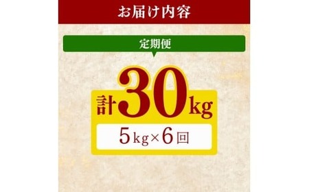 【令和7年産】 米 定期便 5kg×6回 コシヒカリ 米 AG014