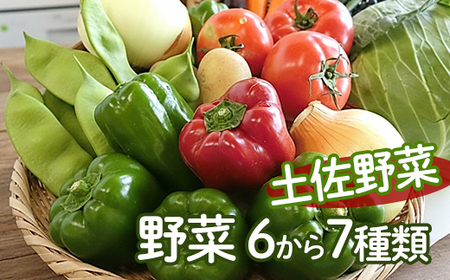 【 安芸野菜 】 野菜 6~7種類 詰め合わせ 安芸野菜