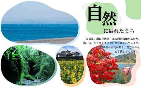 【定期便/計2回】安芸野菜（6、7種）【野菜】AD012