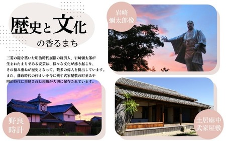 【定期便/計2回】安芸野菜（6、7種）【野菜】AD012