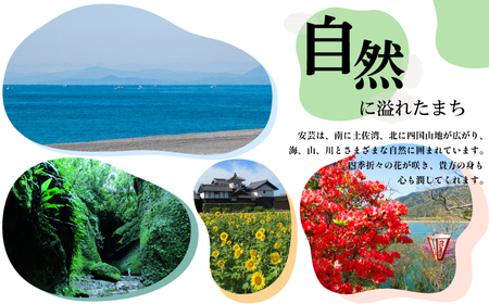 ハニーリッチ 500ml 1本 | お酒 高知県 安芸市