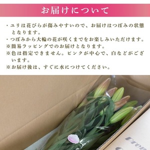 ユリ(オリエンタルリリー)3本 2ヶ月定期便【ユリ】