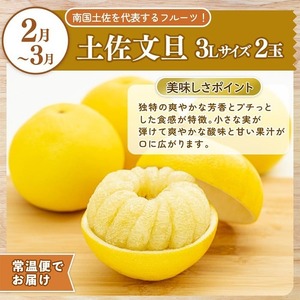 【定期便2回】土佐文旦 小夏 の柑橘フルーツ8