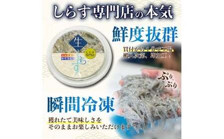 土佐のお刺身「生しらす」10個 タレ付き【しらす】