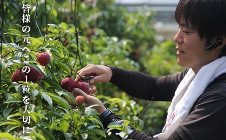 【先行予約/数量限定】【令和8年】希少 完熟マンゴー&生ライチセット / 高知県産 国産 果物 BK