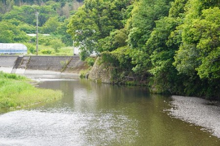 【日本酒】安芸虎 日本酒 2本 セット 飲み比べ BS010