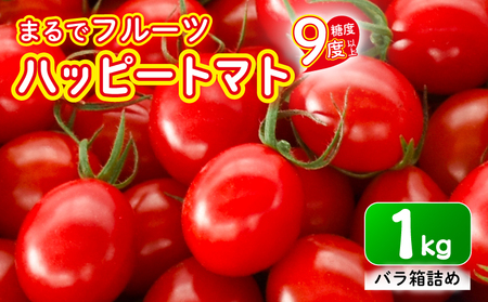 ミニトマト 約1kg 《ハッピー》  野菜 【ミニトマト】