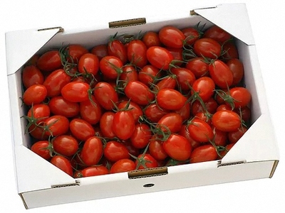 ミニトマト 約1kg 《ハッピー》  野菜 【ミニトマト】