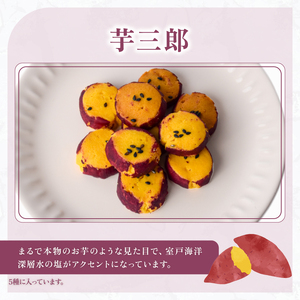 洋菓子倶楽部の焼き菓子セット 5種詰合せ スイーツ お菓子【焼き菓子】