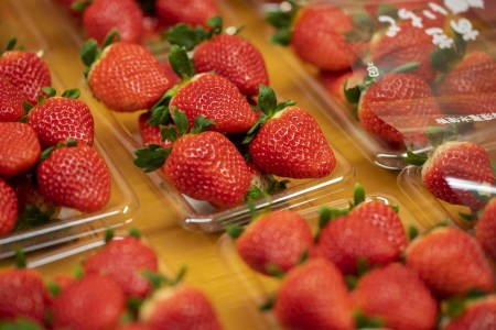 【先行予約】いちご（紅ほっぺ・さがほのか）｜いちご