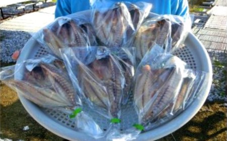 青アジ 干物 6枚程度 うす塩【干物】