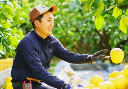 『和み』大北果樹園の土佐文旦 10kg ご家庭用