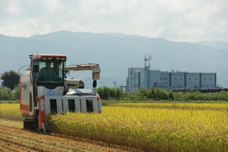 コシヒカリ 新米 5kg こしひかり 令和7年産 精米 AS011