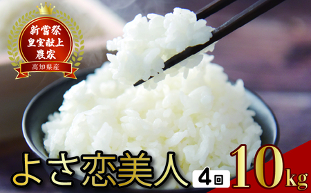 【令和8年産】 新米 定期便 10kg×4回 よさ恋美人 新米 AS006 26,250円