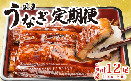 うなぎ蒲焼き 1尾 定期便 12回 うなぎ BE015