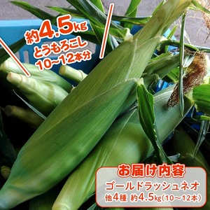 【2026年先行予約 / 数量限定 とうもろこし】 フルーツコーン イエロー種 10～12本 とうもろこし