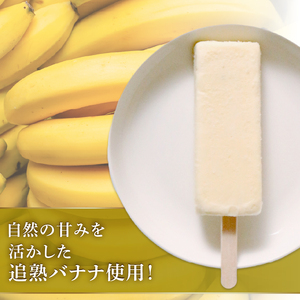 【アイス】バナナアイス 80ml 20本