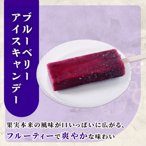 【アイス】ブルーベリー アイス 80ml×20本