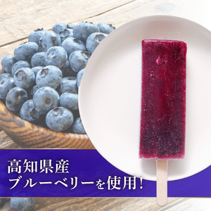 【アイス】ブルーベリー アイス 80ml×20本