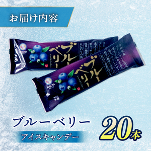 【アイス】ブルーベリー アイス 80ml×20本