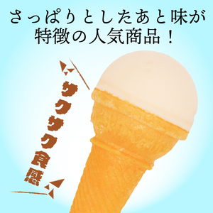 南国土佐のアイスクリンコーン160ml×18個